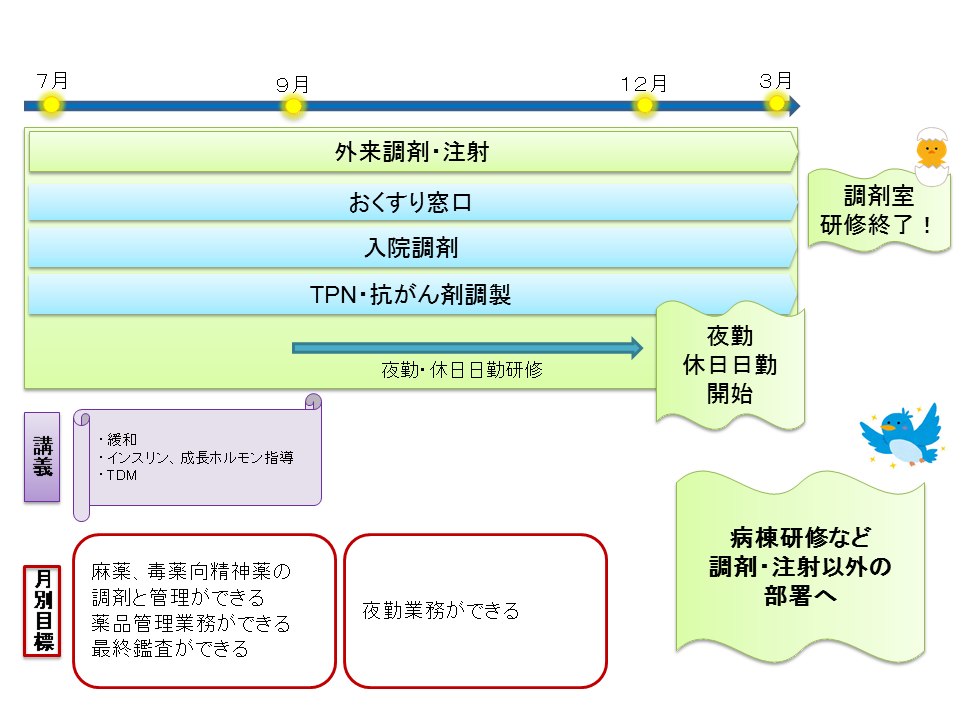 スケジュール