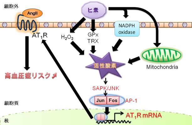 table_biochem_01_01