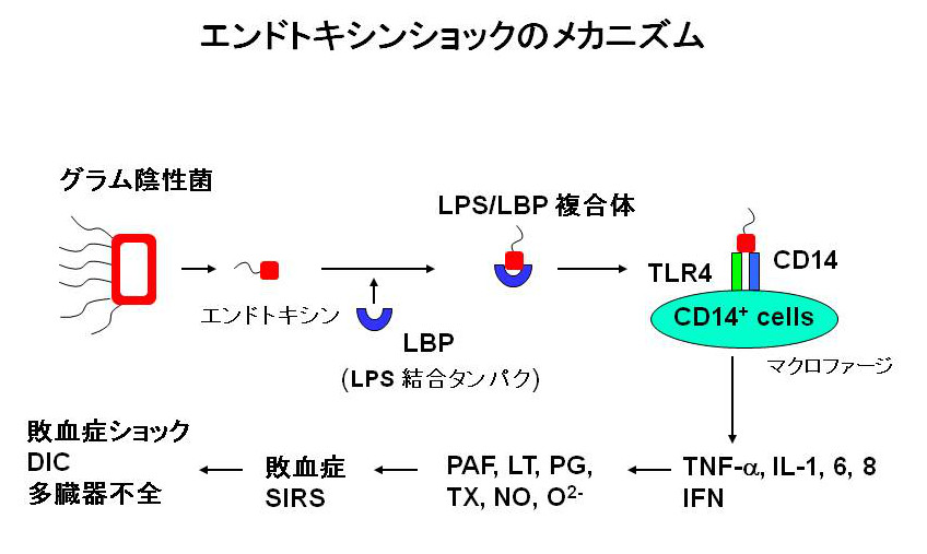 table_ii_01_01