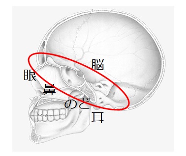 図1