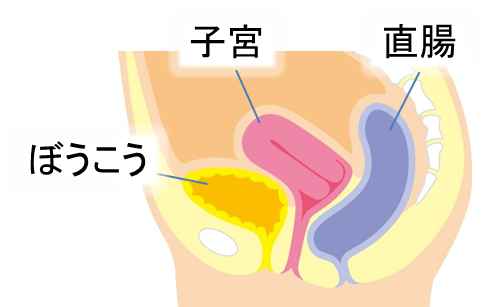 正常な位置