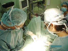 腎移植手術