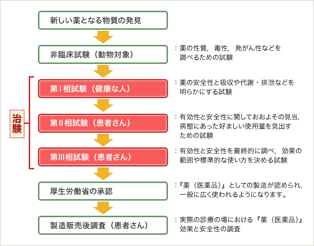 新薬が開発されるまで