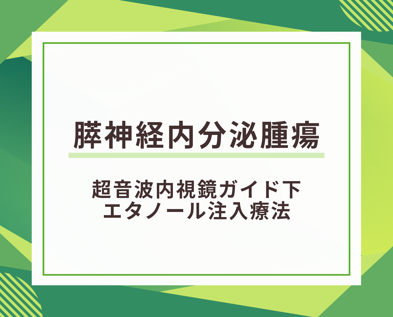 膵神経内分泌腫瘍に対する超音波内視鏡ガイド下エタノール注入療法について