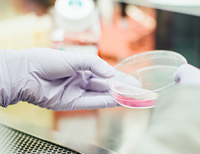 マウスES細胞からのKNDyニューロン分化誘導に関する研究成果について